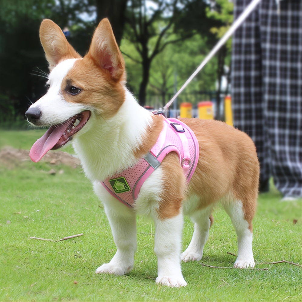 犬と猫用の反射ペットハーネスとリードセット、通気性メッシュ付 - No Pull Dog Harness のレビューと価格