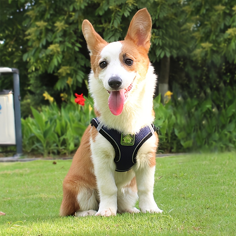 犬と猫用の反射ペットハーネスとリードセット、通気性メッシュ付 - No Pull Dog Harness のレビューと価格