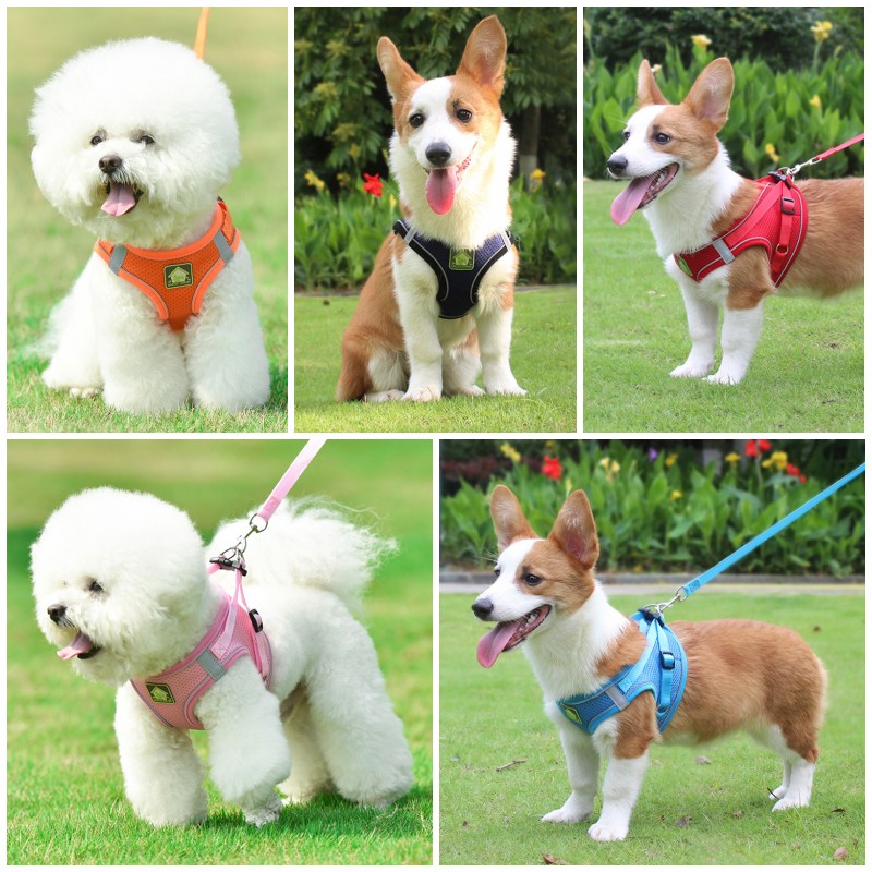 反射機能付きペットハーネスとリードセット、通気性メッシュ、ノ - No Pull Dog Harness のレビューと価格