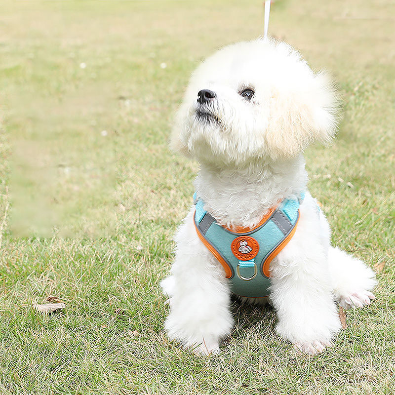 調節可能な犬用ハーネス、引っ張らないかわいい猫用ソフトウォー - No Pull Dog Harness のレビューと価格