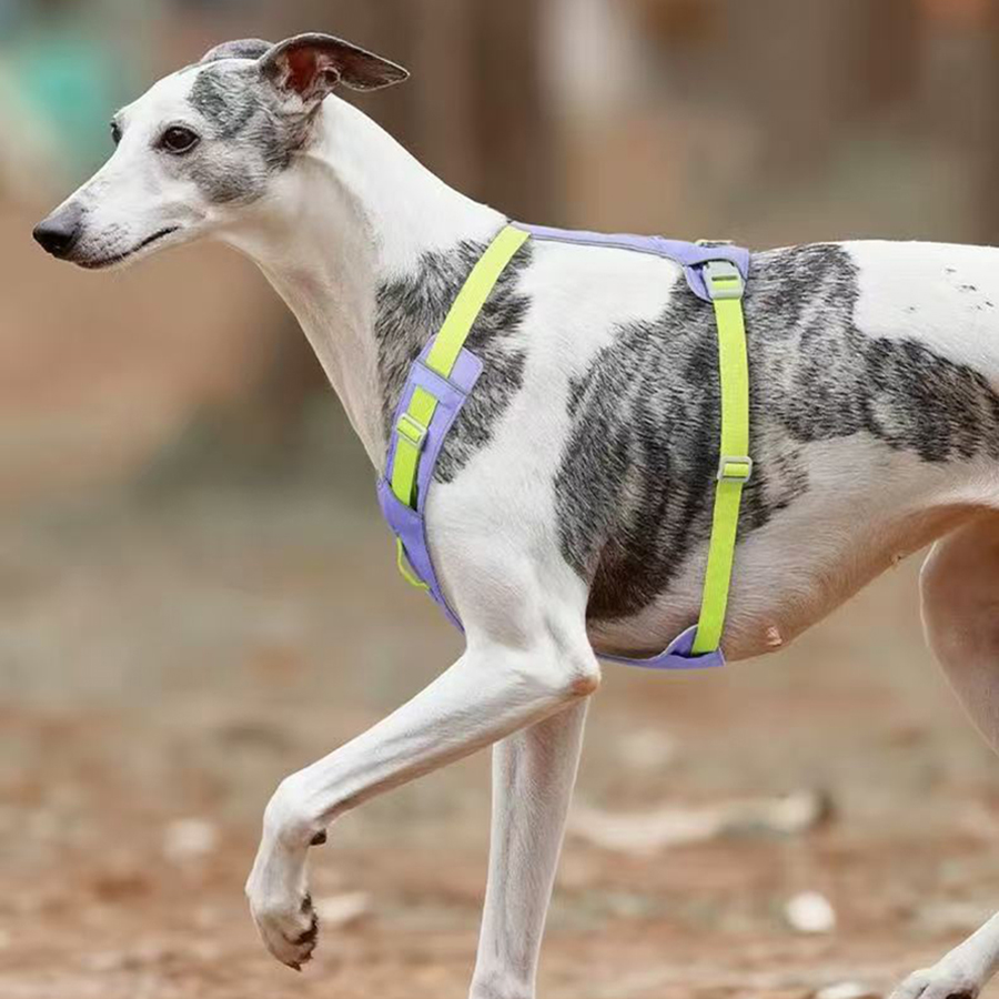 新しいペット用ハーネス 軽量 反射素材 犬猫用チェストストラ - No Pull Dog Harness のレビューと価格