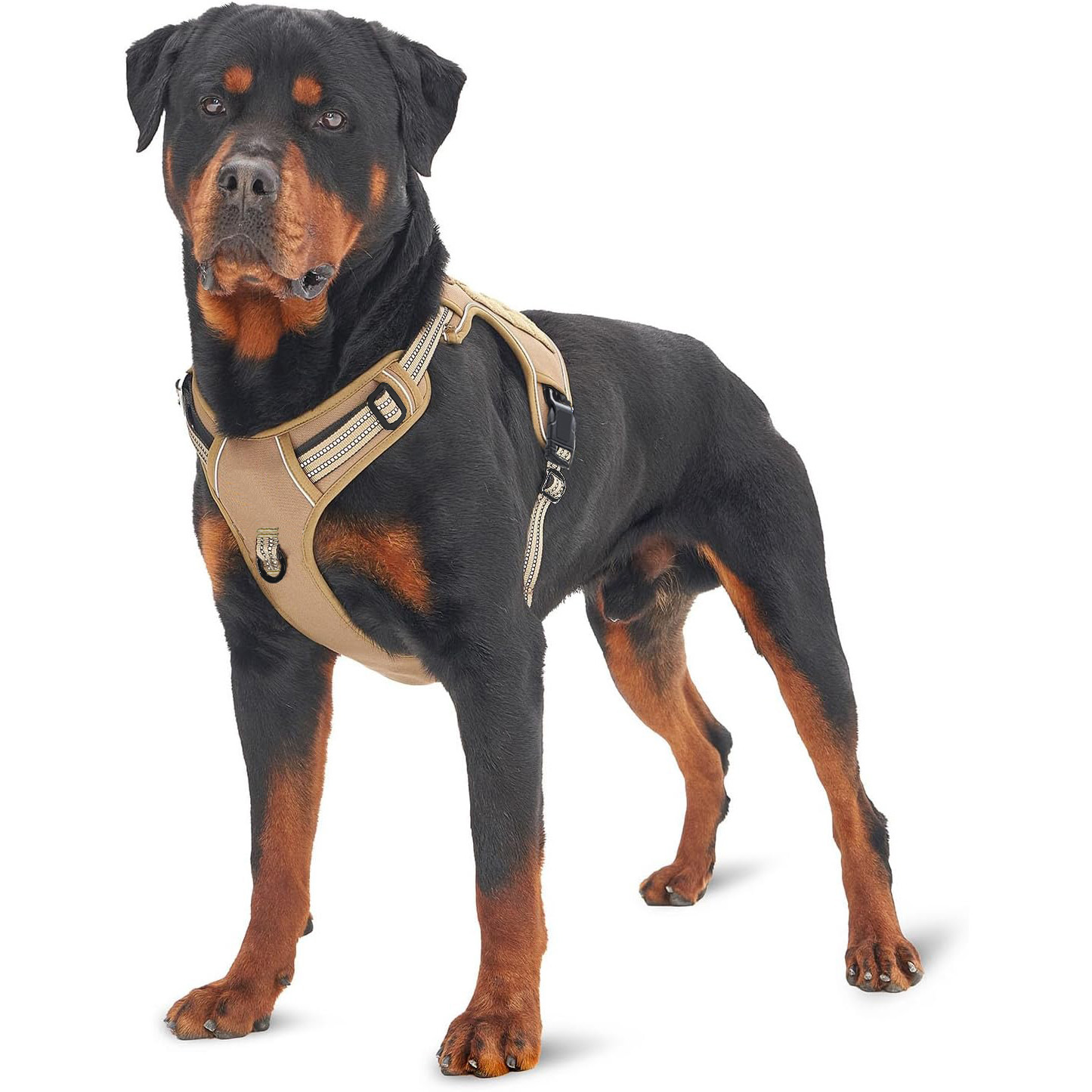 軍用戦術犬用ハーネス、引っ張り防止、大型、反射ストラップ付き - No Pull Dog Harness のレビューと価格